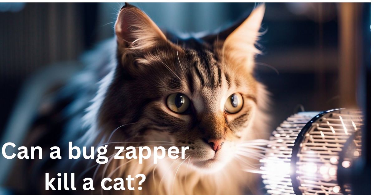 Can a bug zapper kill a cat?