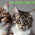Do Cats Get Horny?
