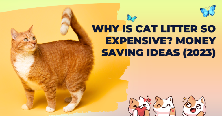 Why Is Cat Litter So Expensive?